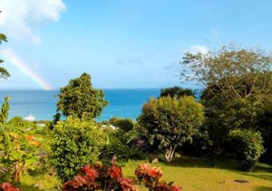 Rose Self Catering