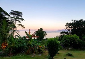 Rose Self Catering