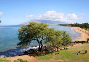 Royal Mauian #518 by Ali'i Resorts