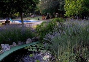 Rural apartment Can Guilló for 4/6 people