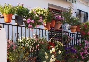Rural apartment El Huerto de Lobras for 2 people