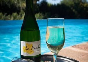 Rural apartment La Finka for 2 to 4 people