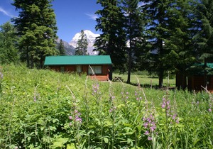 Rustic cabin in the Canadian Rockies!