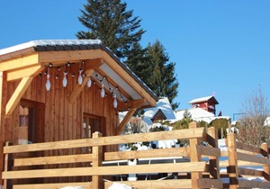Rustic Chalet for Families