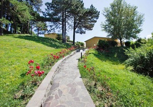 Rustic Escape in Palazzuolo Stay