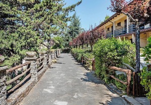Rustic Escape in Palazzuolo Stay