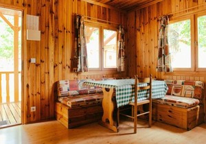 Rustic Mountain Retreat