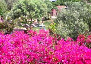 S Arena Scoada: Villa: only 80 meters far from the beaches