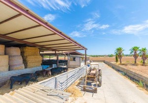 Sa Caseta De Ses Vaques.Son Covas
