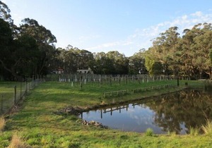 Sailors Falls Estate - Studio Apartment