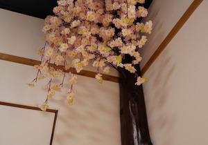 Sakura Aburaya