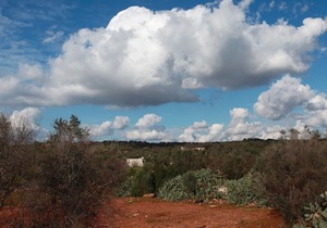Salento, ionian coast Gallipoli - Leuca (G1)