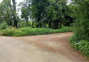 Saligao Farm Cottages