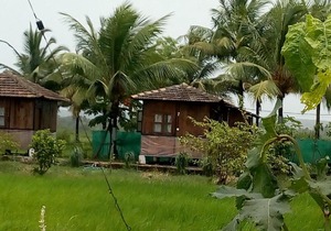 Saligao Farm Cottages