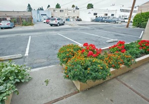 San Carlos Inn