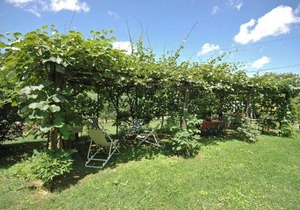 San Lorenzo a Vaccoli Apartment Sleeps 4