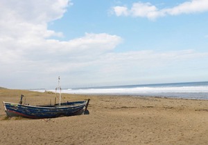 Sands End Cottage, MARSKE-BY-THE-SEA