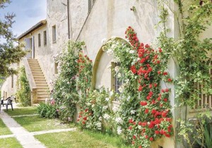 Sanlucchese 1