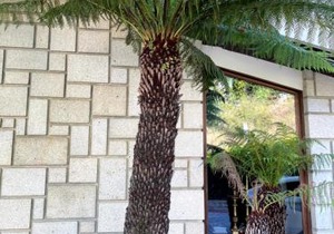 Santiago Family House