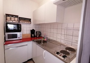 Schluchsee Ferienwohnung 1415