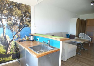 Sea view, air conditioning, Wifi, beach in front