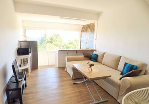 Sea view, air conditioning, Wifi, beach in front