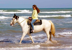 Seagull 202 by Padre Island Rentals