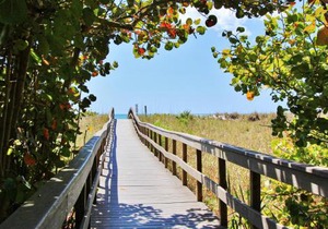 SeaSpray Beach Cottage B