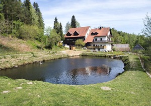 Secluded Apartment in Schönsee with Balcony