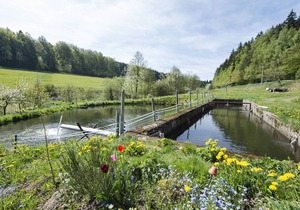 Secluded Apartment in Schönsee with Balcony