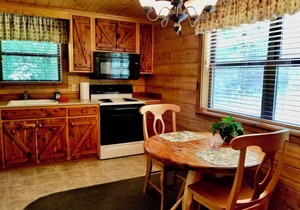 Secluded Hideaway Cabin boasting Wrap-Around Deck and Jacuzzi for two! Trail & Cave on property!