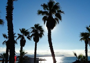 Secure residence in the heart of the gulf of Roquebrune sur Argens