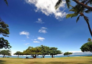 See Maui on a Budget. Stay at Honokowai Palms Across from the Ocean!