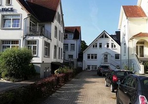 Seepferdchen