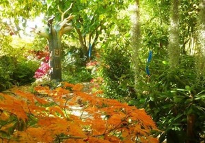 Self catering Jardines del Robledo for 2 people