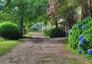 Self catering Quinta de Luou for 8 people