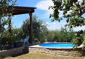 Selva Degli Ulivi