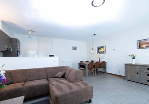 Semi-detached house with a dishwasher, at 9 km van Slagharen