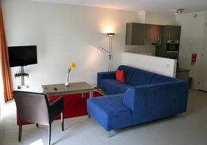 Semi-detached house with a dishwasher, at 9 km van Slagharen