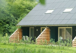 Semi-detached house with a dishwasher, at 9 km van Slagharen