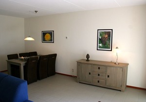 Semi-detached house with a dishwasher, at 9 km van Slagharen