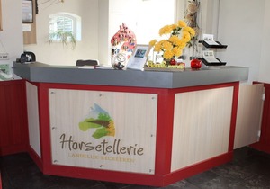 Semi-detached house with a dishwasher, at 9 km van Slagharen