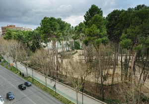 Sercotel Los Llanos