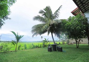 Serene View Tourist Rest
