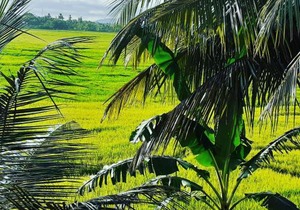 Serene View Tourist Rest