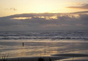 Serene Waldport Oceanfront with Fantastic Outdoor Gathering Space!