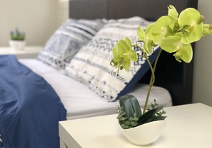 Serenity 15 - Room 4