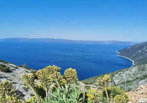Serenity - free parking - A3 (2)
