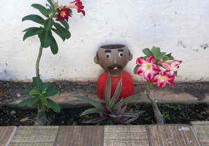 SerTãonejos