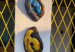 SerTãonejos